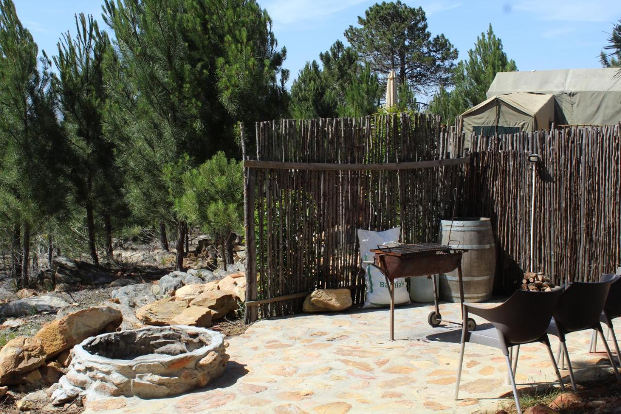 Otium Oasis Glamping & Camping Hartebeesrivier Exterior foto