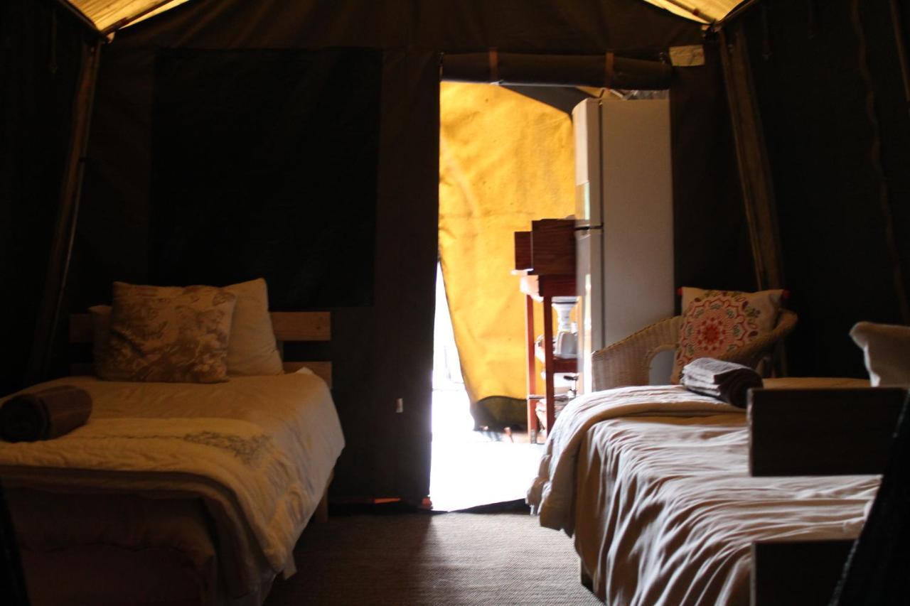 Otium Oasis Glamping & Camping Hartebeesrivier Exterior foto
