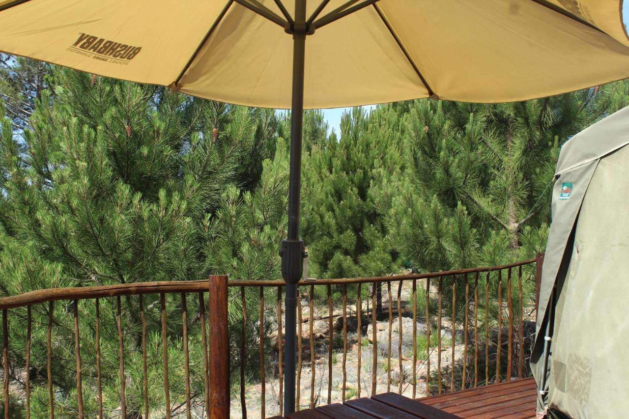 Otium Oasis Glamping & Camping Hartebeesrivier Exterior foto