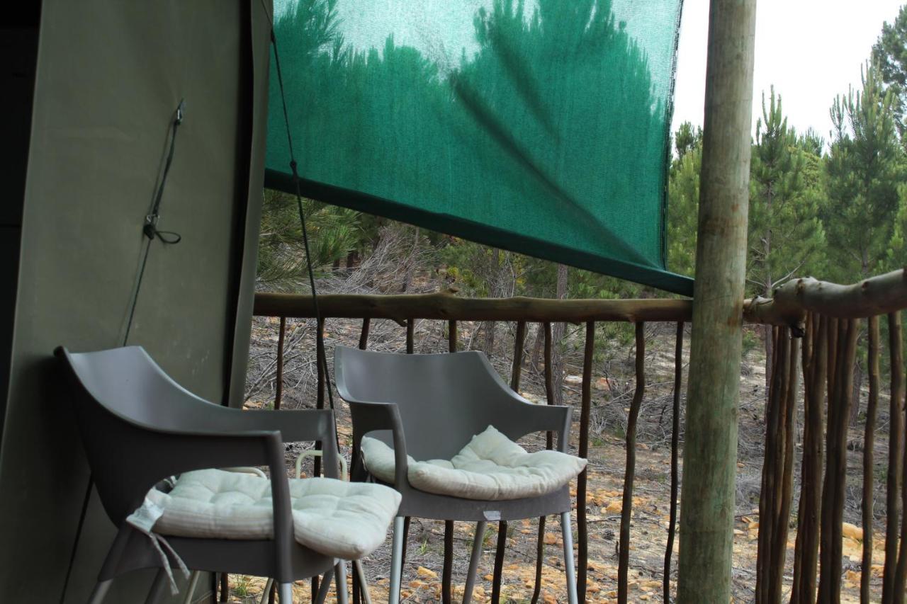 Otium Oasis Glamping & Camping Hartebeesrivier Exterior foto