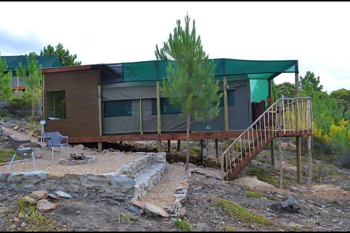 Otium Oasis Glamping & Camping Hartebeesrivier Exterior foto