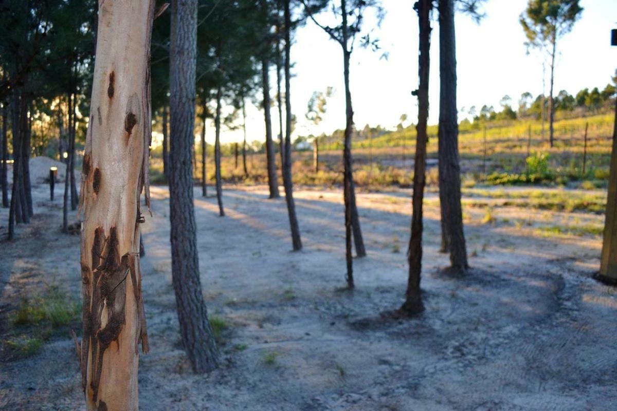 Otium Oasis Glamping & Camping Hartebeesrivier Exterior foto